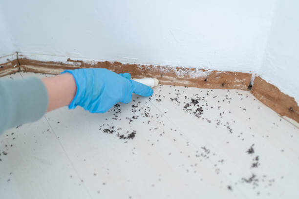 Best Pest Control for Multi-Family Homes  in Huntington Woods, MI